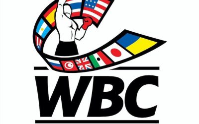 OFFICIAL STATUS OF THE WORLD BOXING COUNCIL IN HONG KONG AND SOUTH CHINA